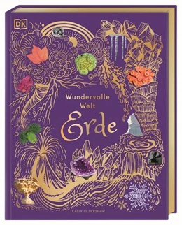 Abbildung von Oldershaw / DK Verlag - Kids | Wundervolle Welt. Erde | 1. Auflage | 2024 | beck-shop.de