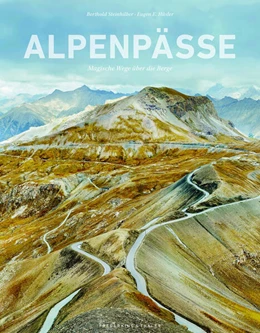 Abbildung von Hüsler | Alpenpässe | 1. Auflage | 2024 | beck-shop.de