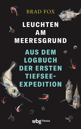 Abbildung von Fox | Leuchten am Meeresgrund | 1. Auflage | 2024 | beck-shop.de