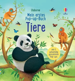 Abbildung von Milbourne | Mein erstes Pop-up-Buch: Tiere | 1. Auflage | 2024 | beck-shop.de