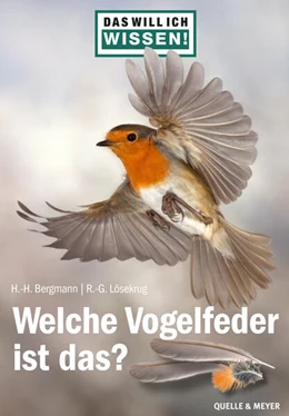 Abbildung von Bergmann / Lösekrug | Das will ich wissen! Welche Vogelfeder ist das? | 1. Auflage | 2024 | beck-shop.de