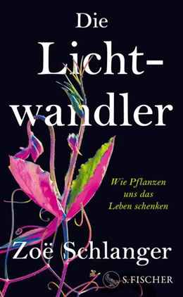 Abbildung von Schlanger | Die Lichtwandler | 2. Auflage | 2024 | beck-shop.de