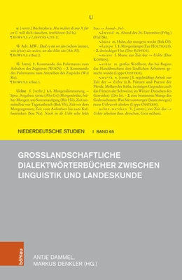 Abbildung von Dammel / Denkler | Großlandschaftliche Dialektwörterbücher zwischen Linguistik und Landeskunde | 1. Auflage | 2024 | beck-shop.de