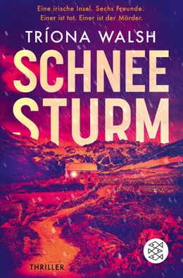 Abbildung von Walsh | Schneesturm | 1. Auflage | 2024 | beck-shop.de