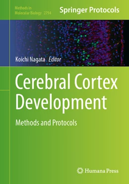 Abbildung von Nagata | Cerebral Cortex Development | 1. Auflage | 2024 | beck-shop.de