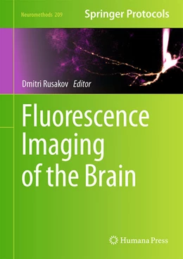 Abbildung von Rusakov | Fluorescence Imaging of the Brain | 1. Auflage | 2024 | 209 | beck-shop.de