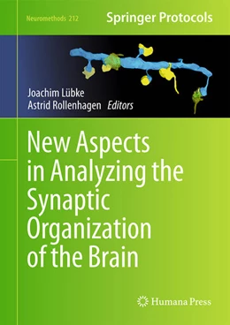 Abbildung von Lübke / Rollenhagen | New Aspects in Analyzing the Synaptic Organization of the Brain | 1. Auflage | 2024 | 212 | beck-shop.de