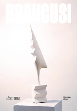 Abbildung von Coulondre | Brancusi | 1. Auflage | 2024 | beck-shop.de