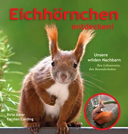 Abbildung von Alber / Cording | Eichhörnchen entdecken! | 4. Auflage | 2024 | beck-shop.de