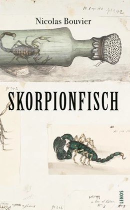 Abbildung von Bouvier | Skorpionfisch | 2. Auflage | 2025 | beck-shop.de