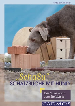 Abbildung von Gauchat | 