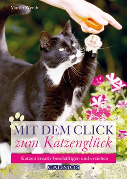 Abbildung von Wendt | Mit dem Click zum Katzenglück | 1. Auflage | 2016 | beck-shop.de