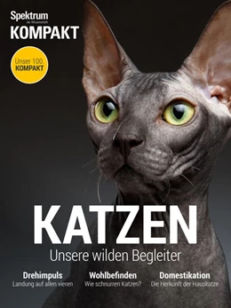 Abbildung von Spektrum Kompakt - Katzen | 1. Auflage | 2016 | beck-shop.de