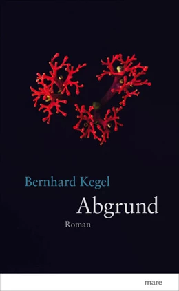 Abbildung von Kegel | Abgrund | 1. Auflage | 2017 | beck-shop.de