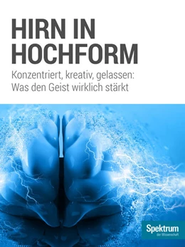 Abbildung von Hirn in Hochform | 1. Auflage | 2017 | beck-shop.de