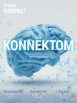 Abbildung von Spektrum Kompakt - Das Konnektom | 1. Auflage | 2017 | beck-shop.de