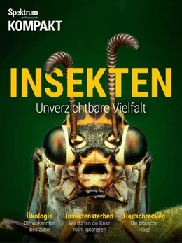 Abbildung von Spektrum Kompakt - Insekten | 1. Auflage | 2017 | beck-shop.de