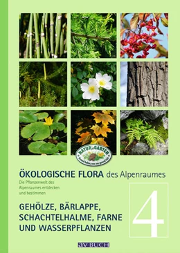 Abbildung von Holzner / Adler | Ökologische Flora des Alpenraumes, Band 4 | 1. Auflage | 2024 | beck-shop.de