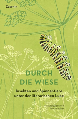 Abbildung von Huber | Durch die Wiese | 1. Auflage | 2025 | beck-shop.de