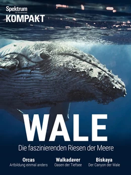 Abbildung von Spektrum Kompakt - Wale | 1. Auflage | 2017 | beck-shop.de