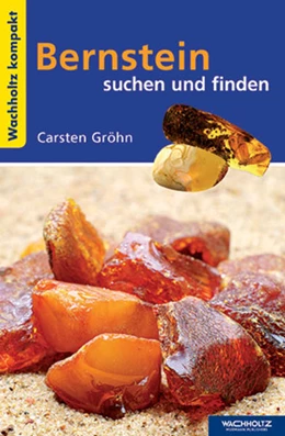 Abbildung von Gröhn | Bernstein suchen und finden KOMPAKT | 1. Auflage | 2018 | beck-shop.de