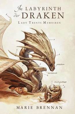 Abbildung von Brennan | Lady Trents Memoiren 4: Im Labyrinth der Draken | 1. Auflage | 2018 | beck-shop.de