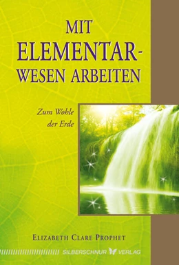 Abbildung von Prophet | Mit Elementarwesen arbeiten | 1. Auflage | 2018 | beck-shop.de