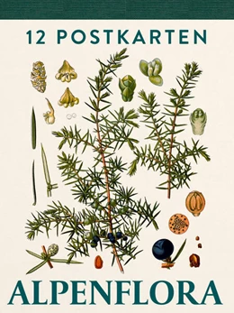 Abbildung von Alpenflora | 1. Auflage | 2024 | beck-shop.de