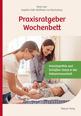 Abbildung von Laue / Wolffskeel Von Reichenberg | Praxisratgeber Wochenbett | 1. Auflage | 2019 | beck-shop.de