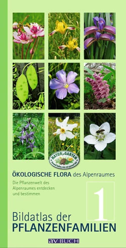 Abbildung von Holzner / Adler | Ökologische Flora des Alpenraumes, Band 1 | 1. Auflage | 2024 | beck-shop.de