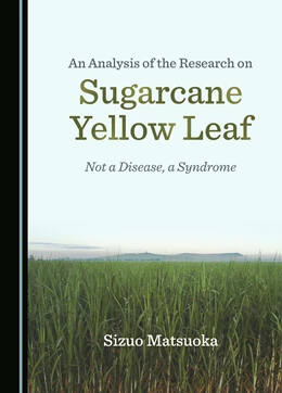 Abbildung von Matsuoka | An Analysis of the Research on Sugarcane Yellow Leaf | 1. Auflage | 2024 | beck-shop.de