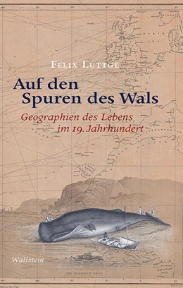 Abbildung von Lüttge | Auf den Spuren des Wals | 1. Auflage | 2020 | beck-shop.de