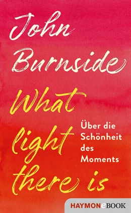 Abbildung von Burnside | What light there is | 1. Auflage | 2020 | beck-shop.de