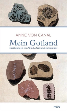 Abbildung von Canal | Mein Gotland | 1. Auflage | 2020 | beck-shop.de