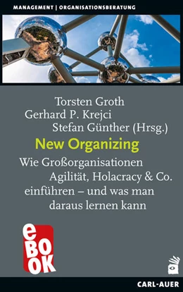 Abbildung von Groth / Krejci | New Organizing | 1. Auflage | 2021 | beck-shop.de