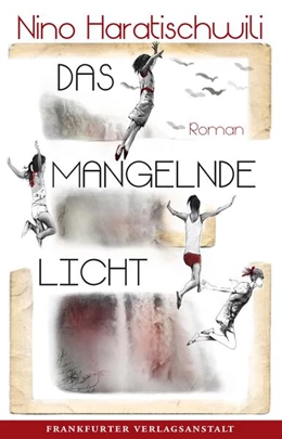 Abbildung von Haratischwili | Das mangelnde Licht | 1. Auflage | 2022 | beck-shop.de