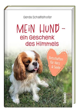 Abbildung von Schaffelhofer | Mein Hund - ein Geschenk des Himmels | 1. Auflage | 2024 | beck-shop.de