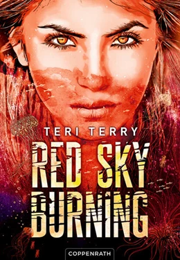 Abbildung von Terry | Red Sky Burning (Bd. 2) | 1. Auflage | 2022 | beck-shop.de