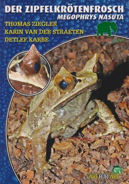 Abbildung von Ziegler / Straeten | Der Zipfelkrötenfrosch | 1. Auflage | 2022 | beck-shop.de
