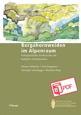 Abbildung von Kiebacher / Bergamini | Bergahornweiden im Alpenraum | 1. Auflage | 2022 | beck-shop.de