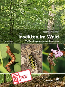 Abbildung von Wermelinger | Insekten im Wald | 2. Auflage | 2022 | beck-shop.de