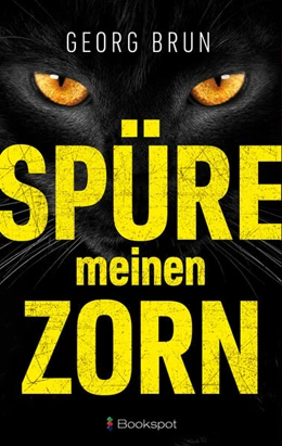 Abbildung von Brun | Spüre meinen Zorn | 1. Auflage | 2023 | beck-shop.de