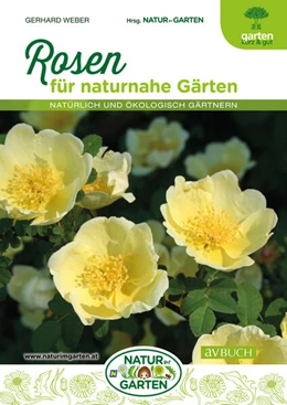 Abbildung von Weber | Rosen | 1. Auflage | 2023 | beck-shop.de