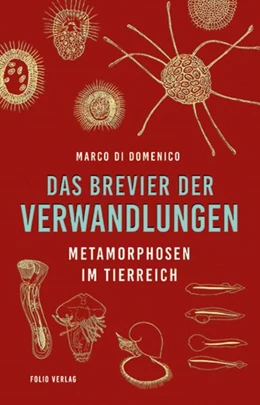 Abbildung von Di Domenico | Das Brevier der Verwandlungen | 1. Auflage | 2023 | beck-shop.de