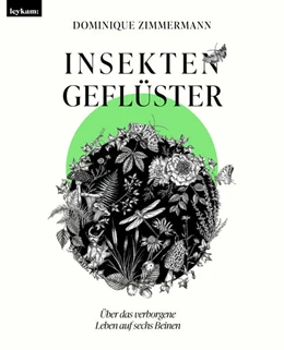 Abbildung von Zimmermann | Insektengeflüster - Über das verborgene Leben auf sechs Beinen | 1. Auflage | 2024 | beck-shop.de