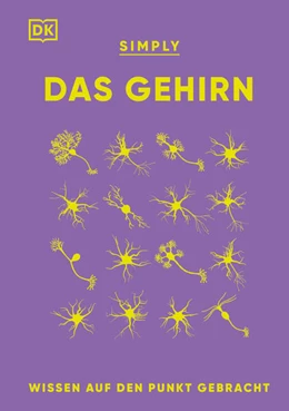 Abbildung von Drew / Ivan | SIMPLY. Das Gehirn | 1. Auflage | 2023 | beck-shop.de