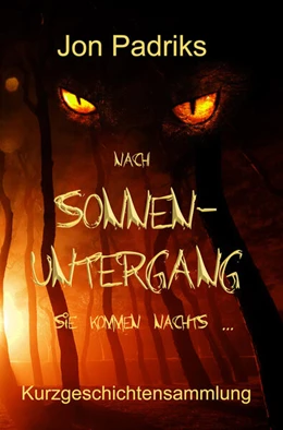 Abbildung von Padriks | Nach Sonnenuntergang | 2. Auflage | 2024 | beck-shop.de