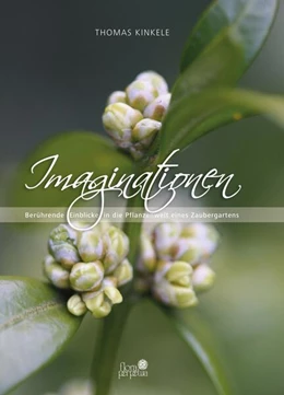 Abbildung von Kinkele | Imaginationen | 1. Auflage | 2024 | beck-shop.de