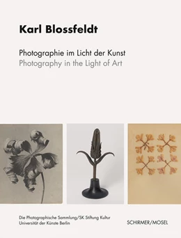 Abbildung von Blossfeldt | Photographie im Licht der Kunst / Photography in the Light of Art | 1. Auflage | 2024 | beck-shop.de