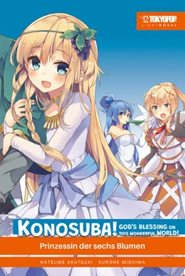 Abbildung von Akatsuki / Mishima | Konosuba! God's Blessing On This Wonderful World! Light Novel 06 | 1. Auflage | 2025 | beck-shop.de